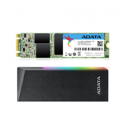 BUNDLE 3 | ADATA SU800N 256GB M.2 SATAIII SSD with ADATA EC700G SSD RGB Enclosure | ASU800NS38-256GT-C + AEC700GU32G2-CGY